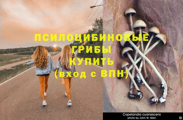 Альфа ПВП Волоколамск
