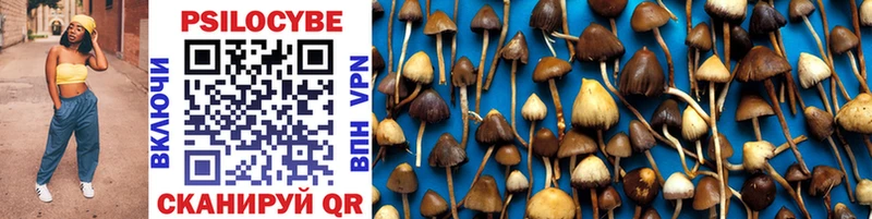 Галлюциногенные грибы Psilocybe Славянск-на-Кубани